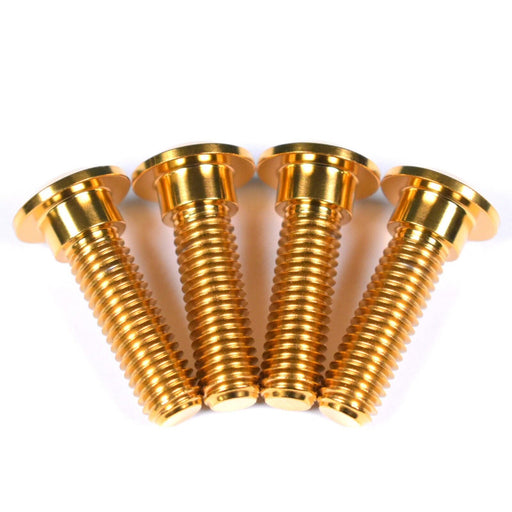 kawasaki zx6r titanium rear disc bolts gold