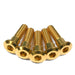 Suzuki GS500 Titanium Front Brake Disc Rotor Bolts, 1989, 1999, 2000, 2001, 2002, 2003, 2004, 2005, 2006, 2007, 2008, Gold